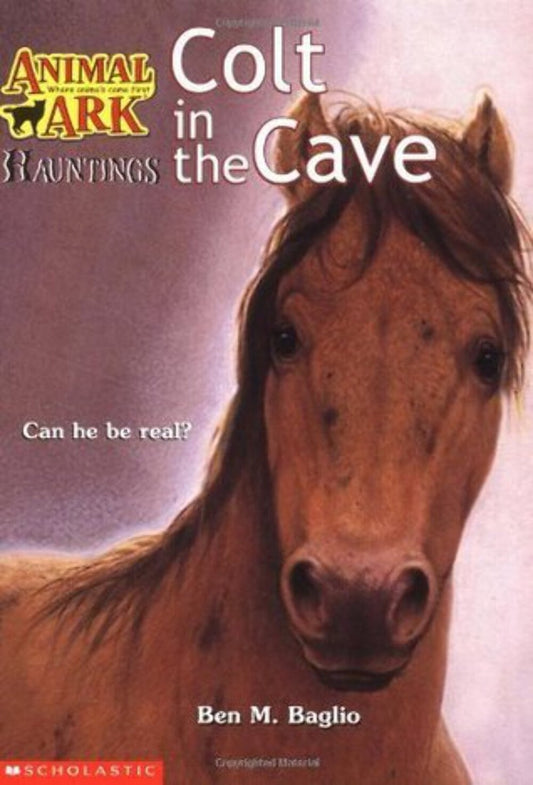 Colt in the Cave (Animal Ark Hauntings, #4) by Ben M. Baglio