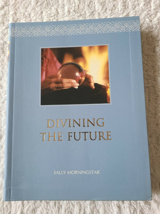 Divining the Future by Sally Morningstar