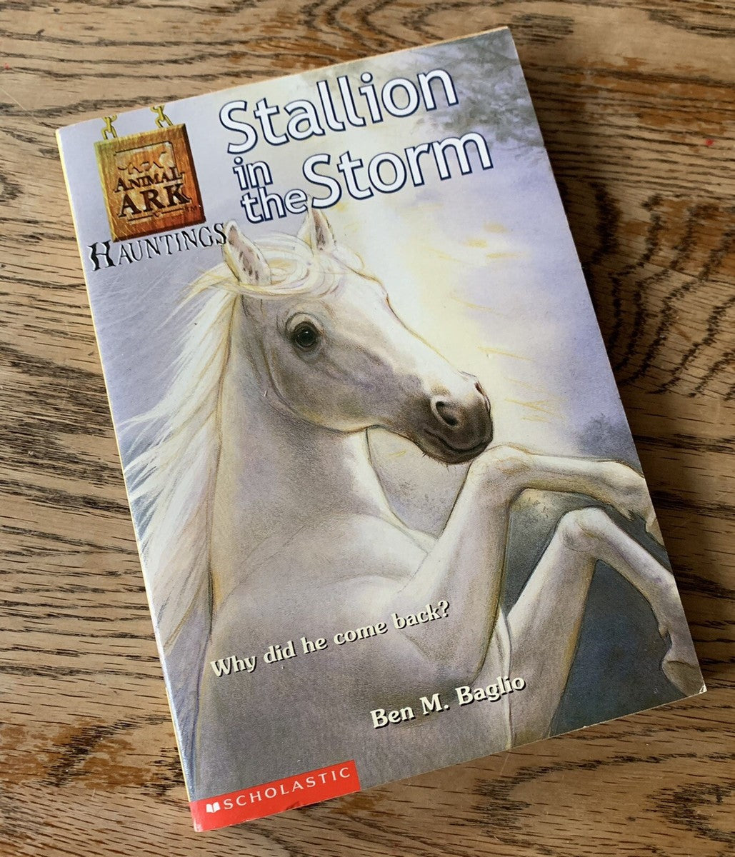Stallion in the Storm (Animal Ark Hauntings #1) by Ben M Baglio