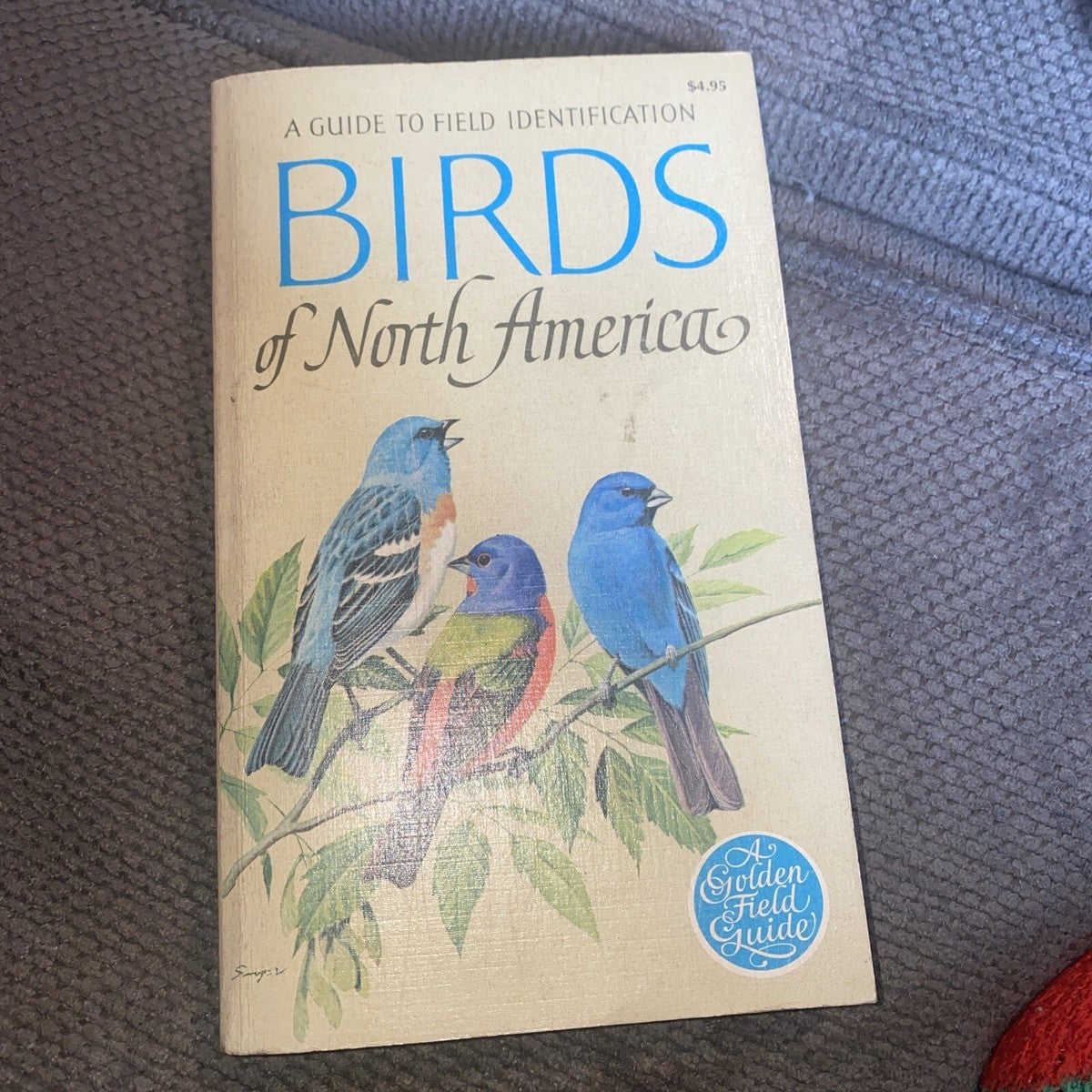 Guide to Birds of North America by Chandler S Robbins